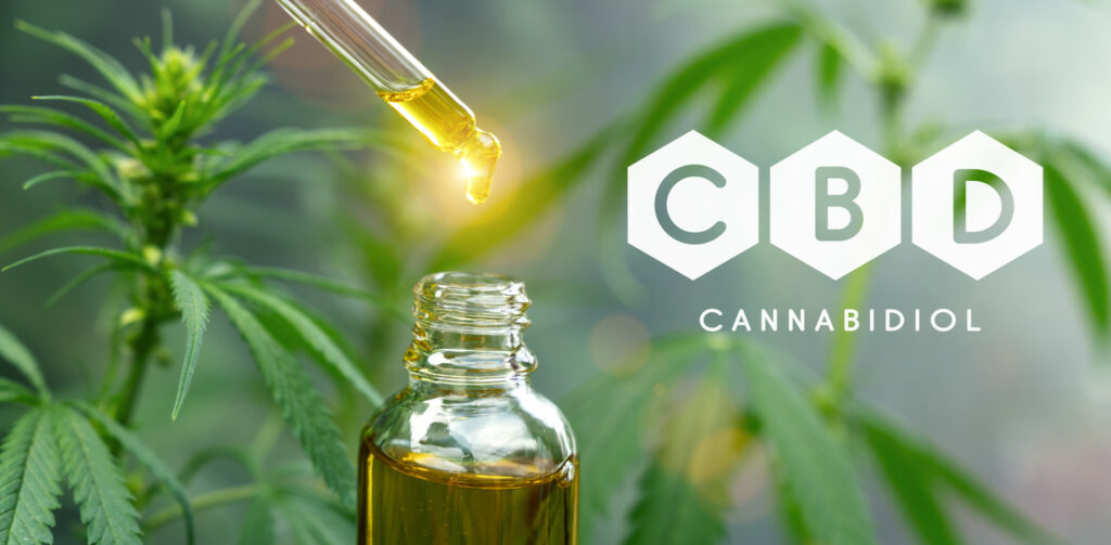 droplet dosing a biological and ecological hemp plant herbal pharmaceutical cbd oil from a jar. Concept of herbal alternative medicine, cbd oil, pharmaceutical industry