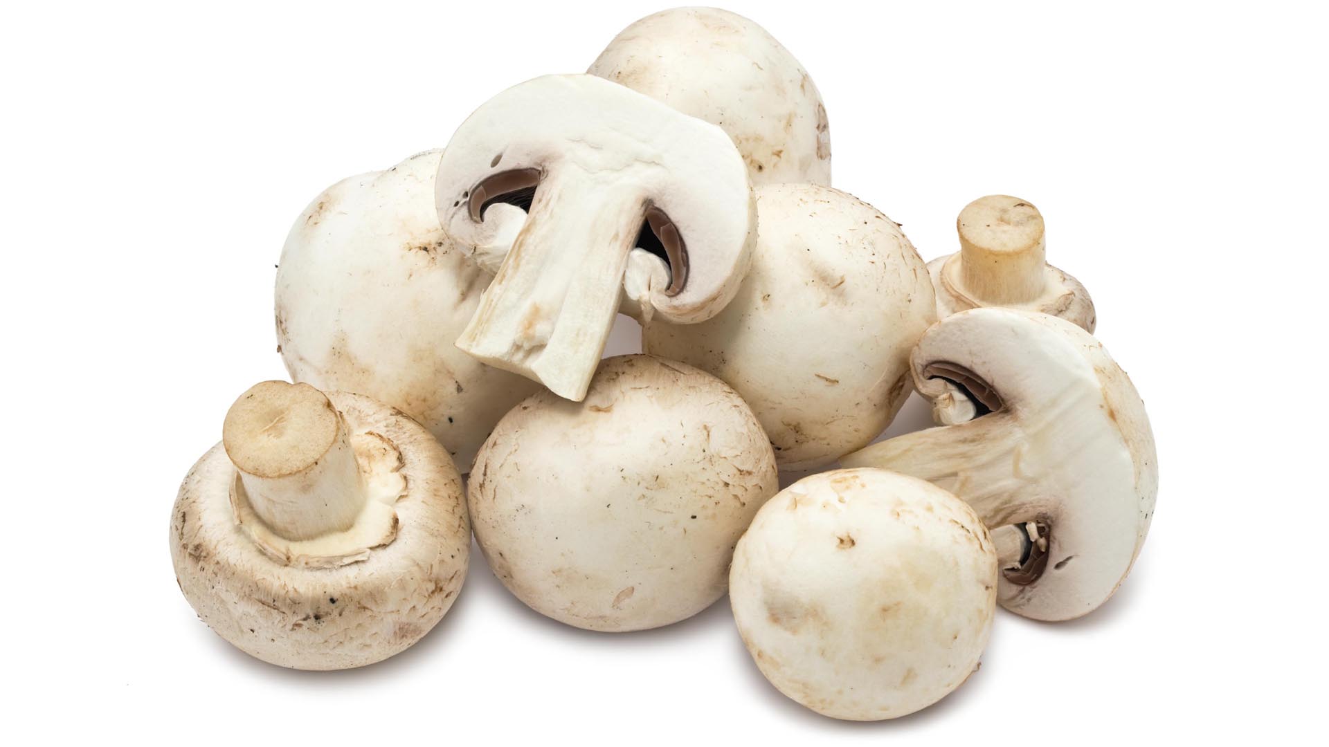 Benefits of Lion's Mane Functional Mushrooms A Comprehensive Guide